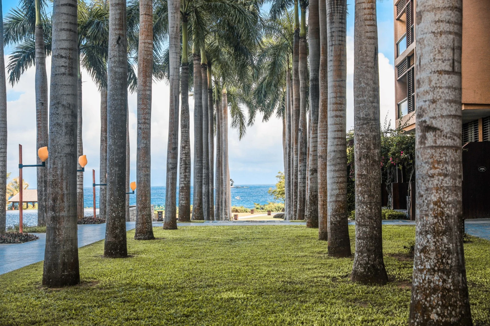 Mangrove Tree Resort Yalong Bay — Пальмовая аллея