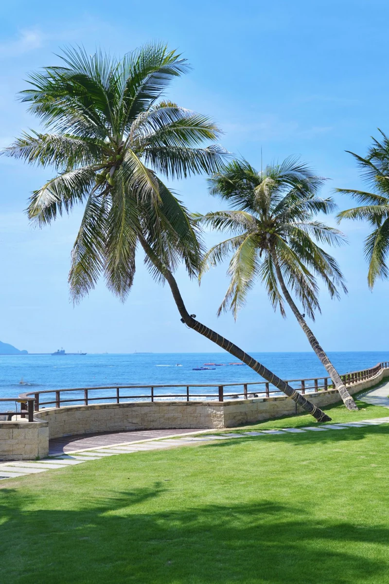 JW Marriott Hotel Sanya Dadonghai Bay — Территория у моря