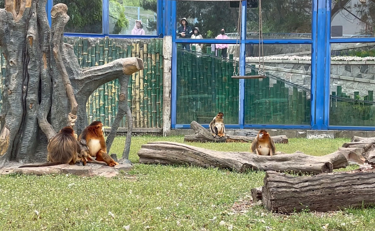 Даляньский зоопарк - Изображение 9