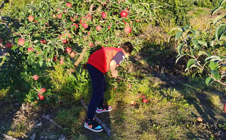 Сезонная экскурсия «Сад и огород» - Изображение 9