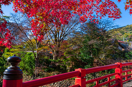 Японские клены, горячие источники и снежные обезьяны