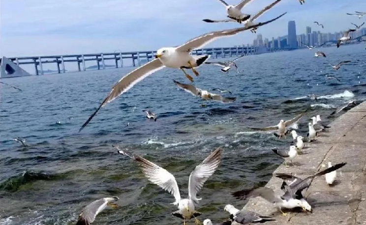 Морская площадь - Изображение 6