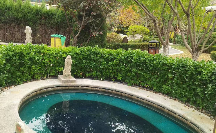 Горячие источники Lu Neng - Изображение 2