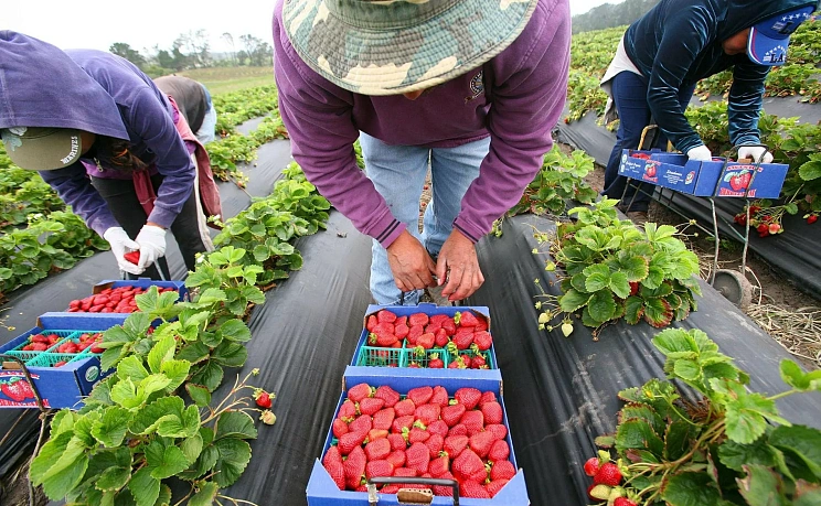 Сезонная экскурсия «Сад и огород» - Изображение 2