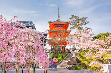 Жемчужины Японского моря + горячие источники