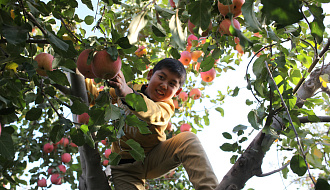 Сезонная экскурсия «Сад и огород»